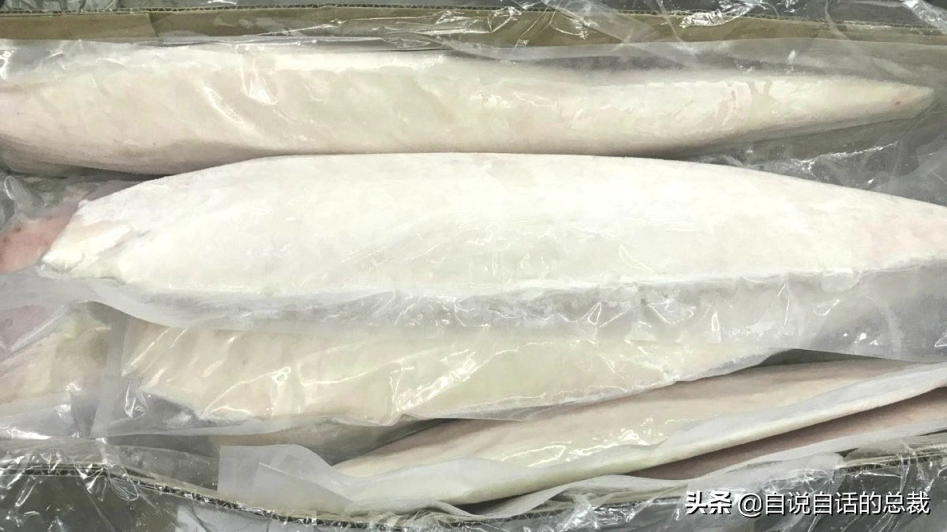 为什么鳕鱼卖的那么便宜,为什么买的鳕鱼特别松散