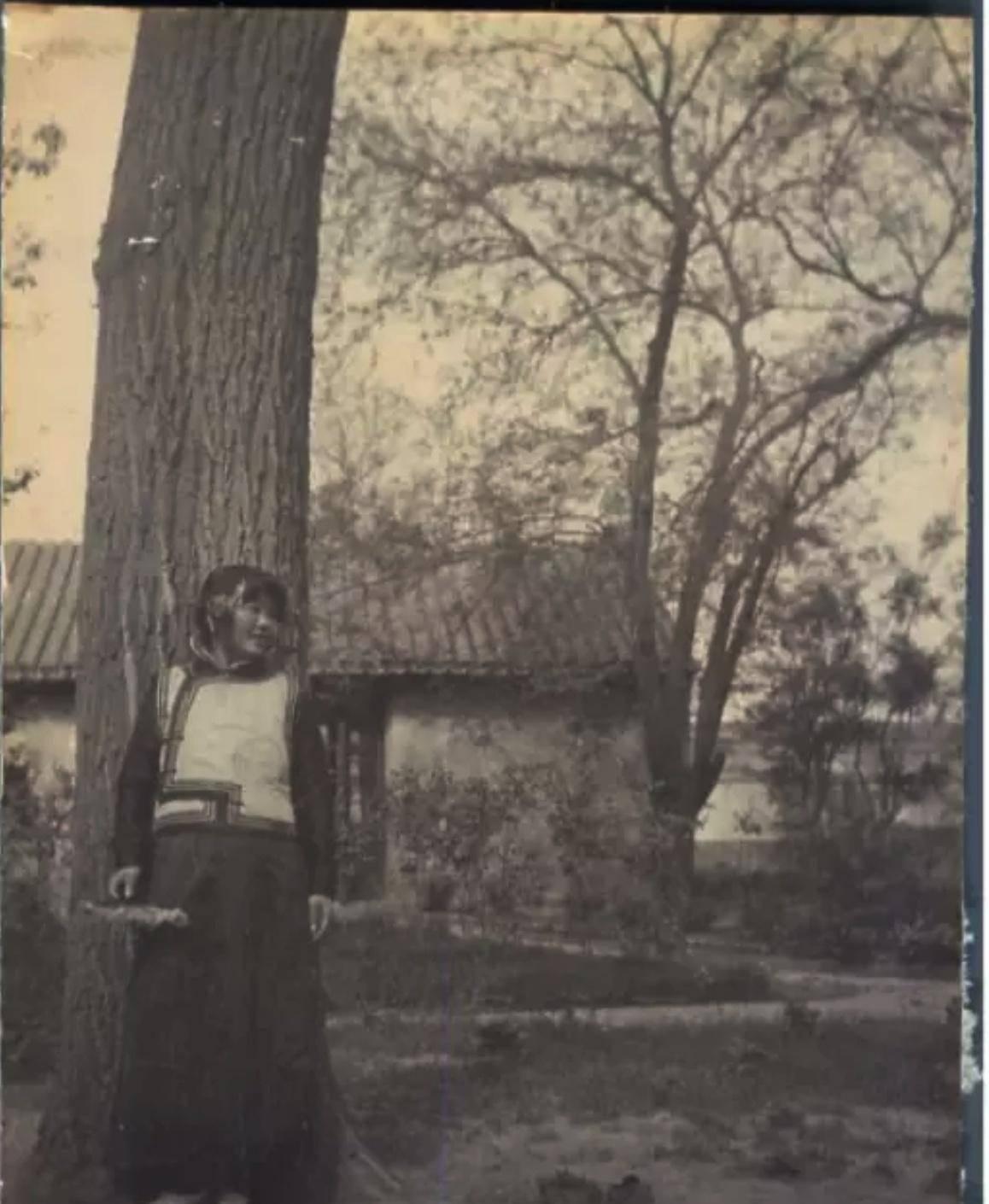 你不知道的历史真相1,你不知道的残酷的历史真相