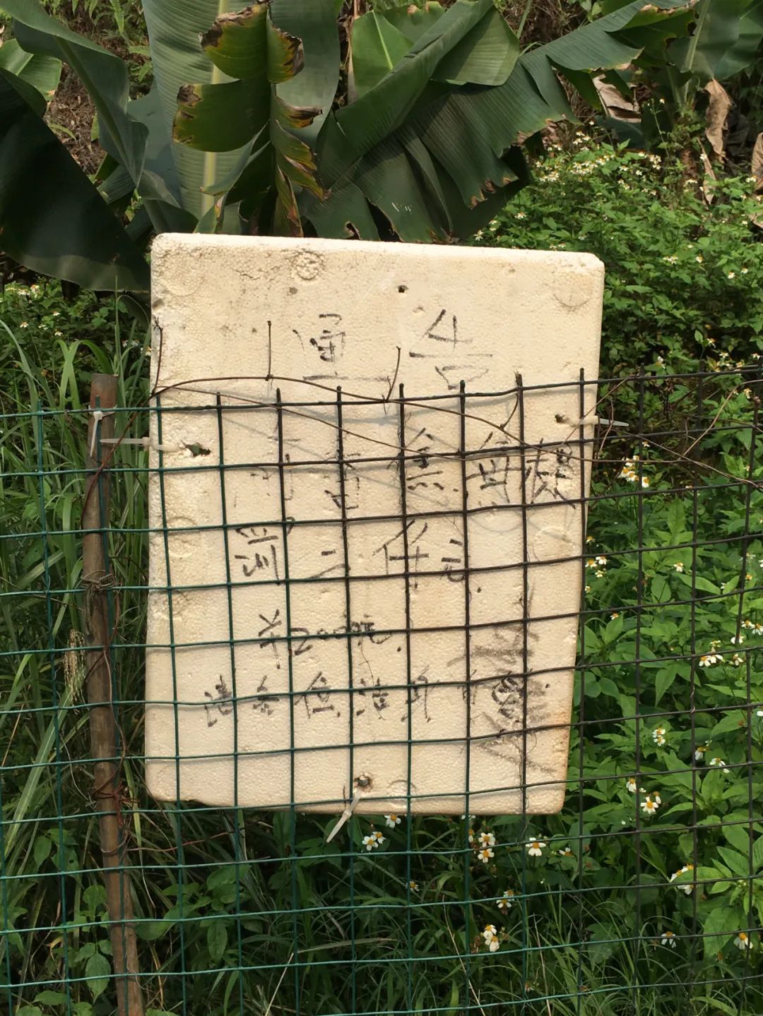 旭光车行雅迪电动车,旭光单车