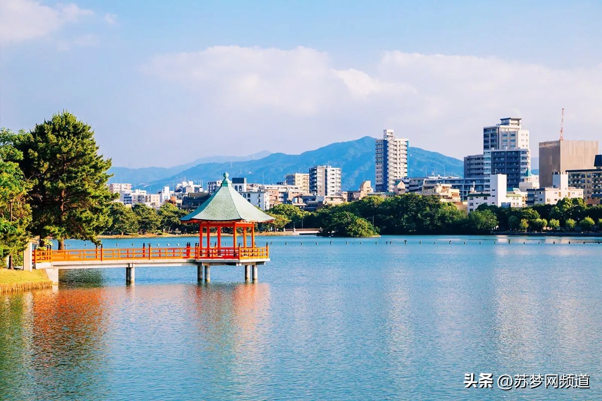 绂忓唸kota,绂忓唸zumba