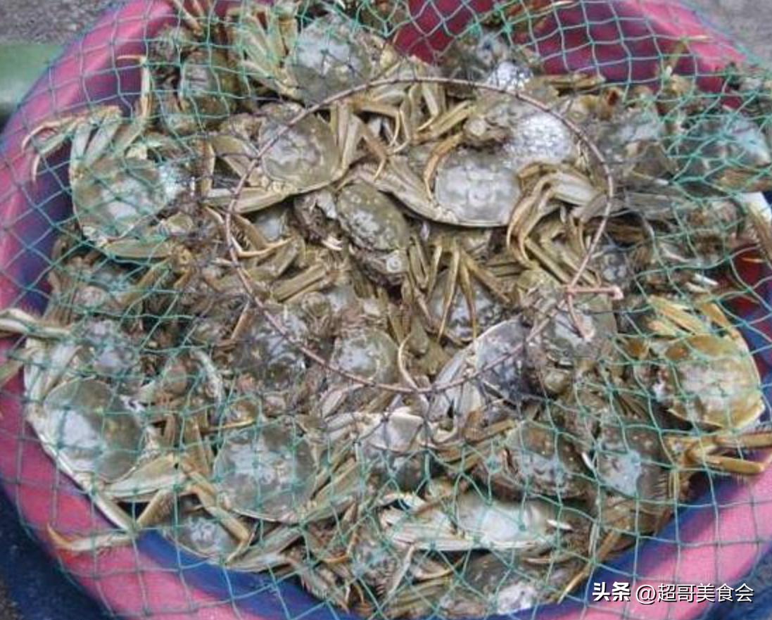 螃蟹怎么买才肉多,螃蟹怎么挑选才不被坑