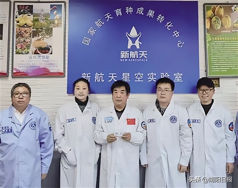 南阳绿莹艾草制品加盟,河南南阳艾草品牌