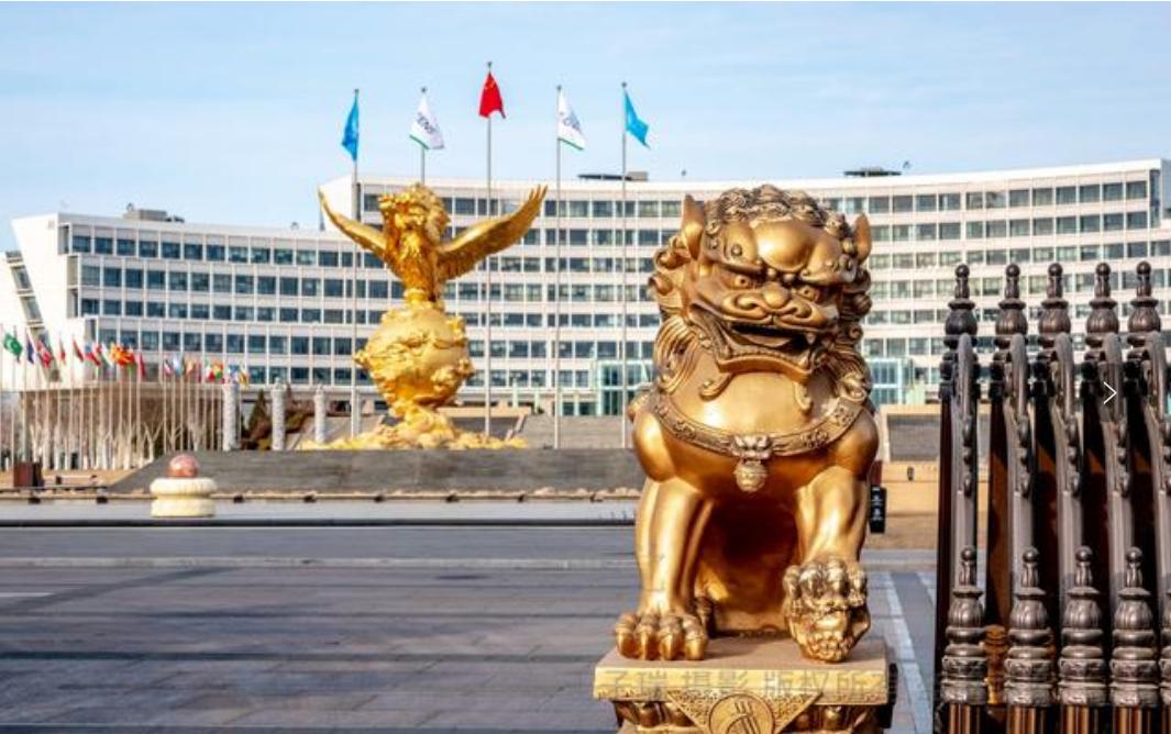 天狮集团的价值,天狮集团重塑今生