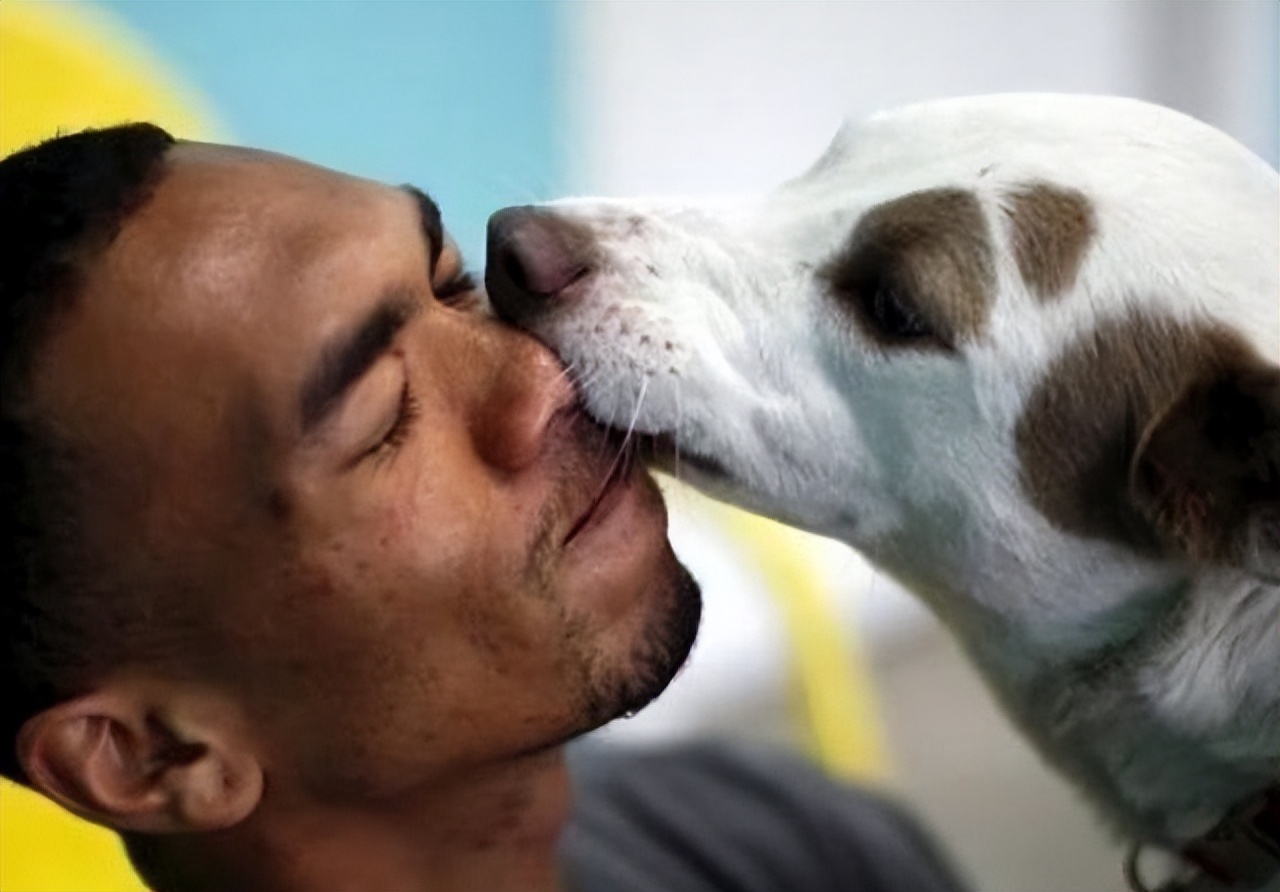 养狗多年才知道狗狗跟你玩,养狗的整天被狗舔有危险吗