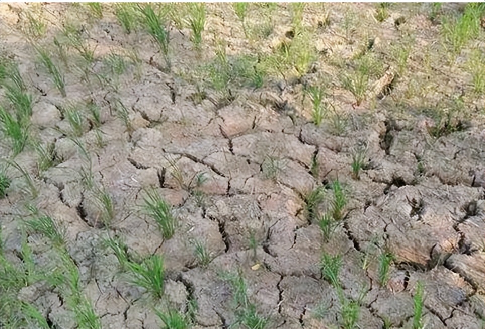 民间人生的三大苦是什么苦,农村四大喜是哪四种