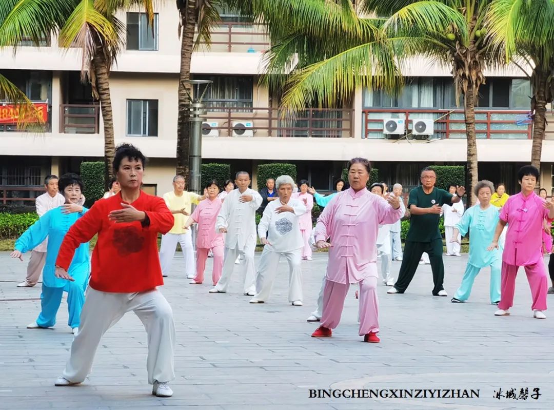 旅居海南：九所新区的浪漫情
