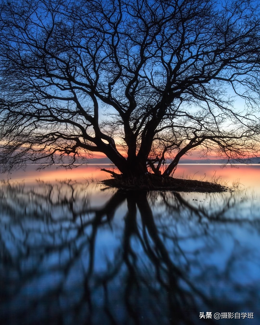 手机拍照零基础入门摄影技巧,你也可以轻松拍出电影感的照片