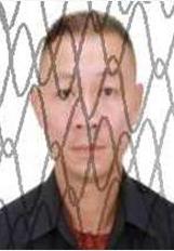 【“莞薪无忧”】广东东莞的居民请注意，他们被列入“失信被执行人”名单，打交道要小心！