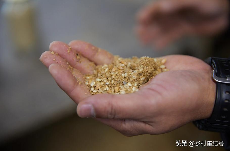 日本农业大县探寻乡村振兴新路,日本家庭农场农业模式