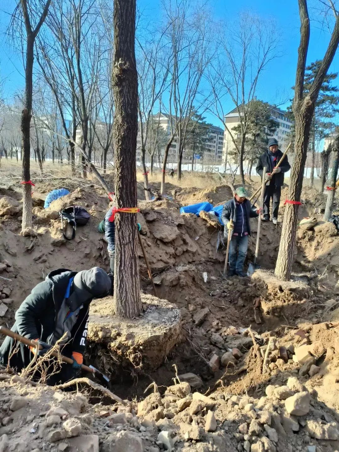 苑里的公园、医院、地铁站…都在悄然改变！