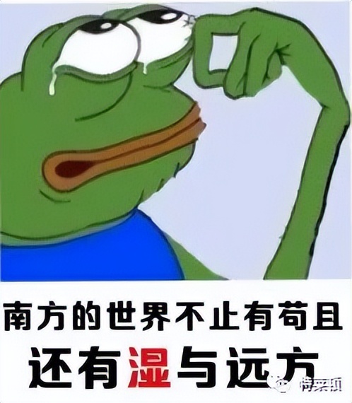 回南天和梅雨季哪个难受,回南天与梅雨天区别