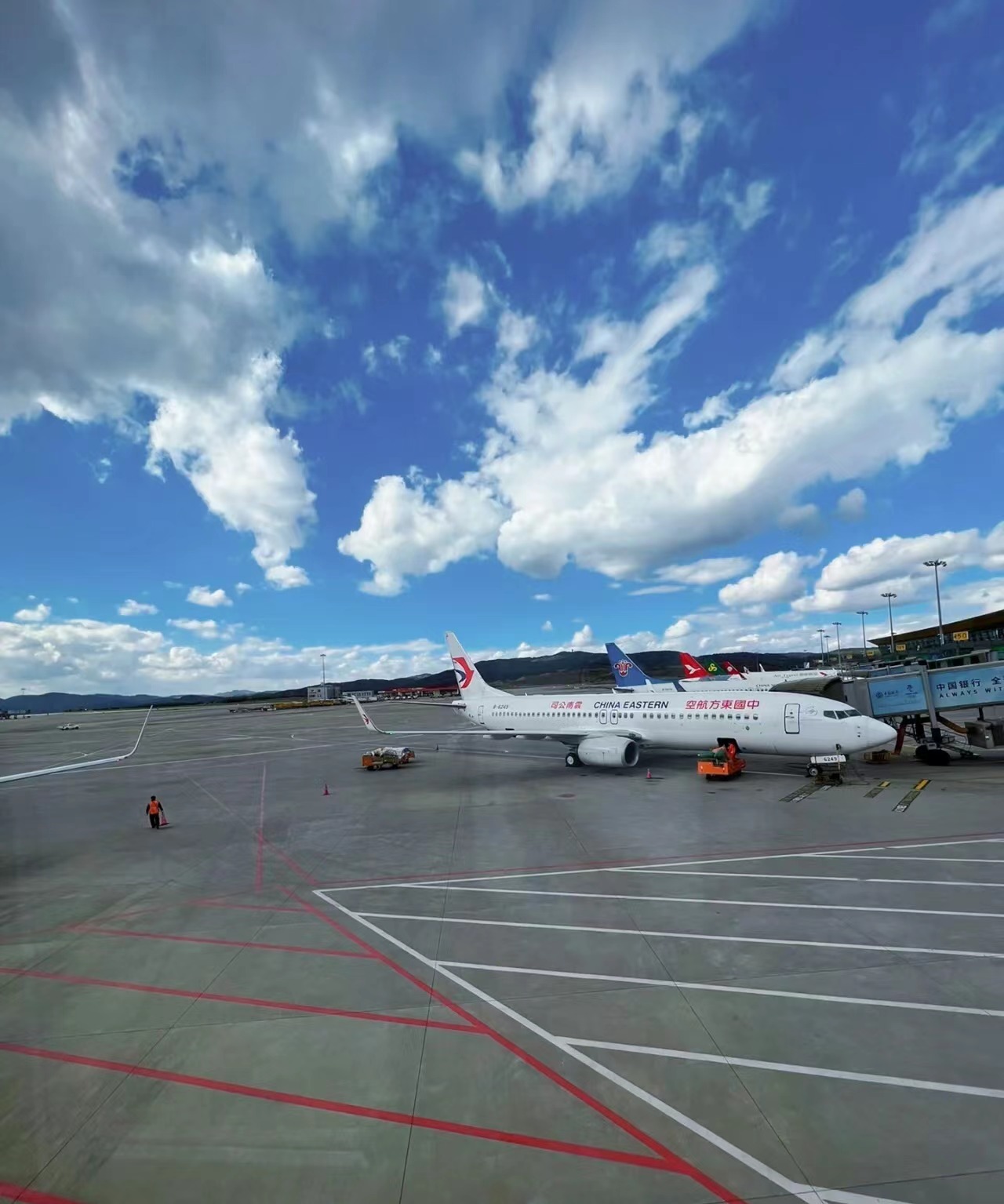 去版纳要注意踩的坑,去版纳怎么避坑