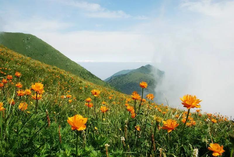繁峙金界寺,五台山佛教文化形成的特征