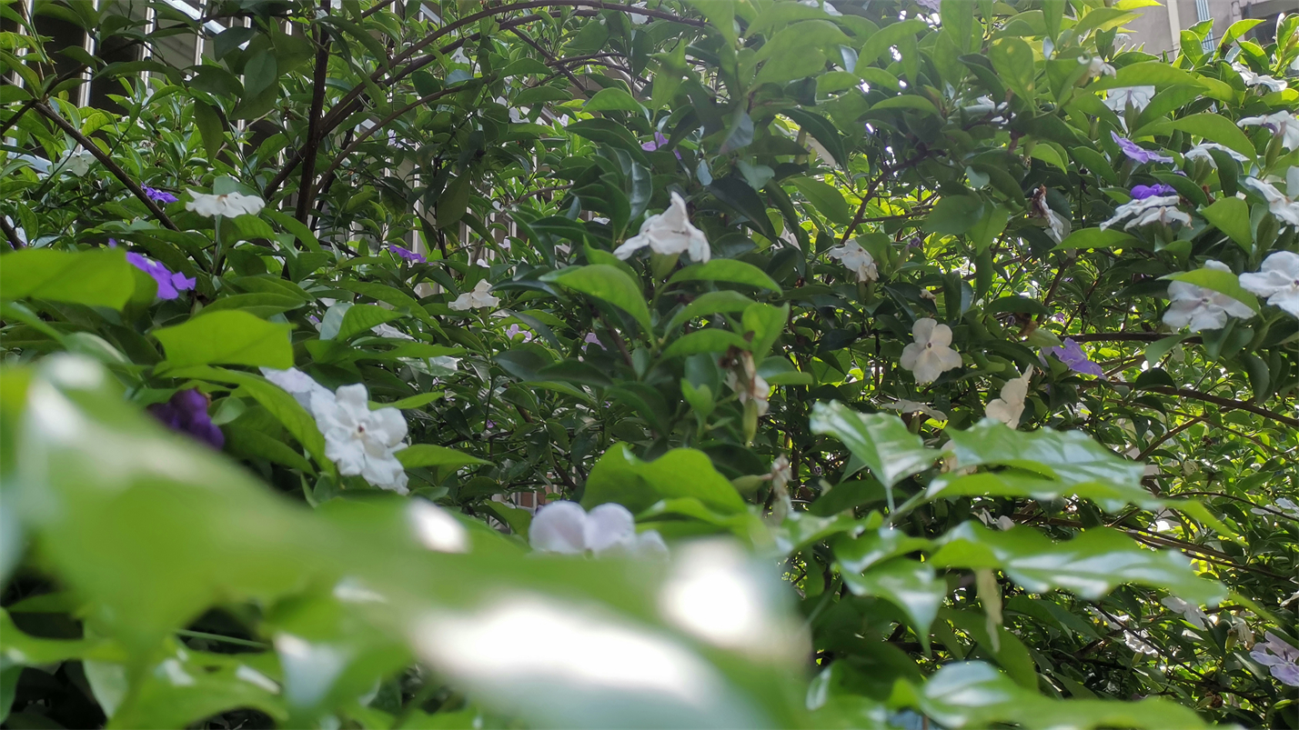 往事如风一切如梦,往事如风人生如梦岁月如歌