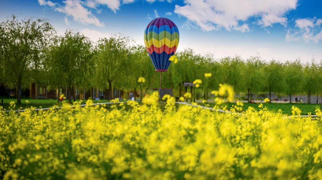 去临沂玩的免费攻略,来临沂推荐去玩的地方