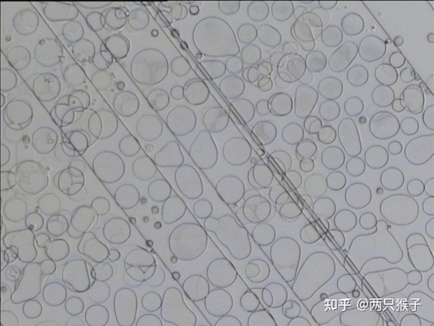 半导体Defect介绍,半导体fab优劣势