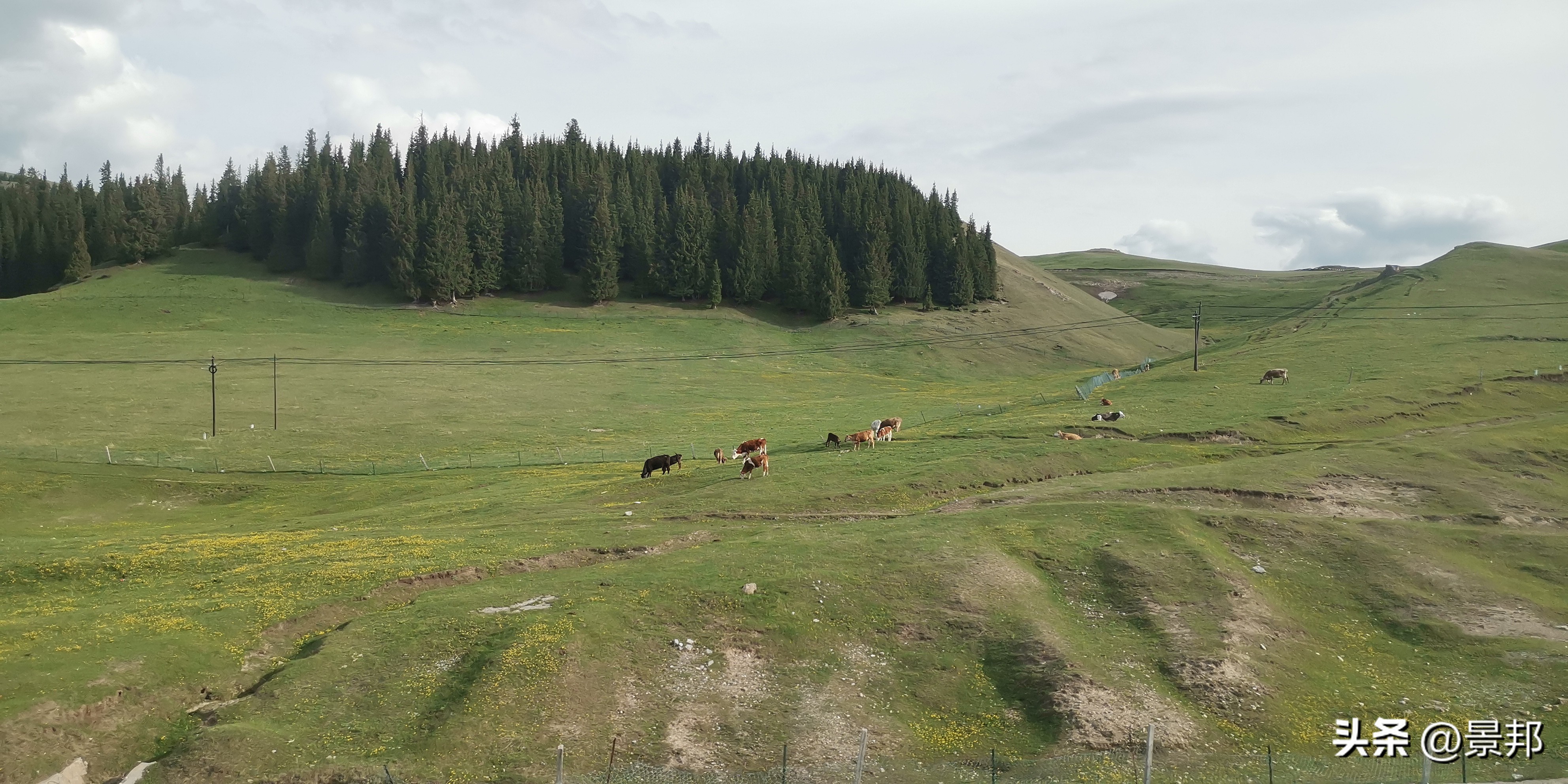 北疆之旅,北疆旅游一日游