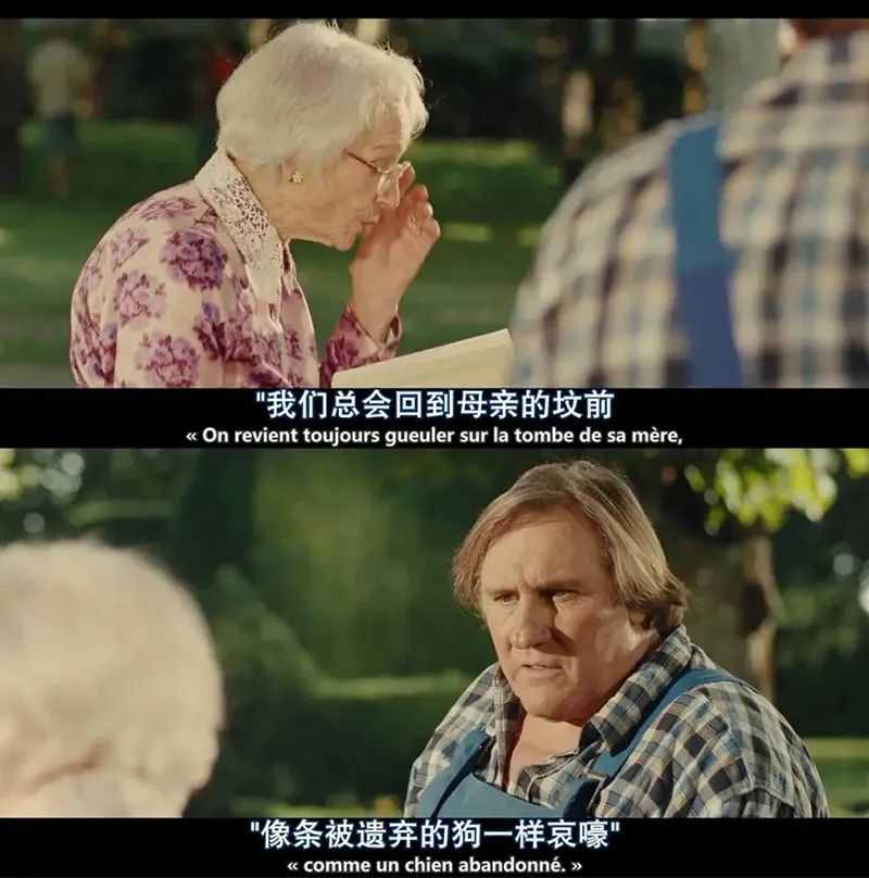 十部顶级神作9.5评分电影治愈系,十部顶级治愈心灵电影免费