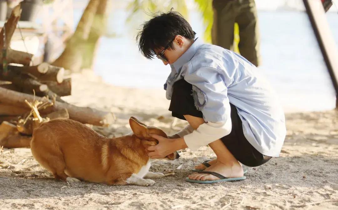 校草脸男星图鉴,男校草图片帅气