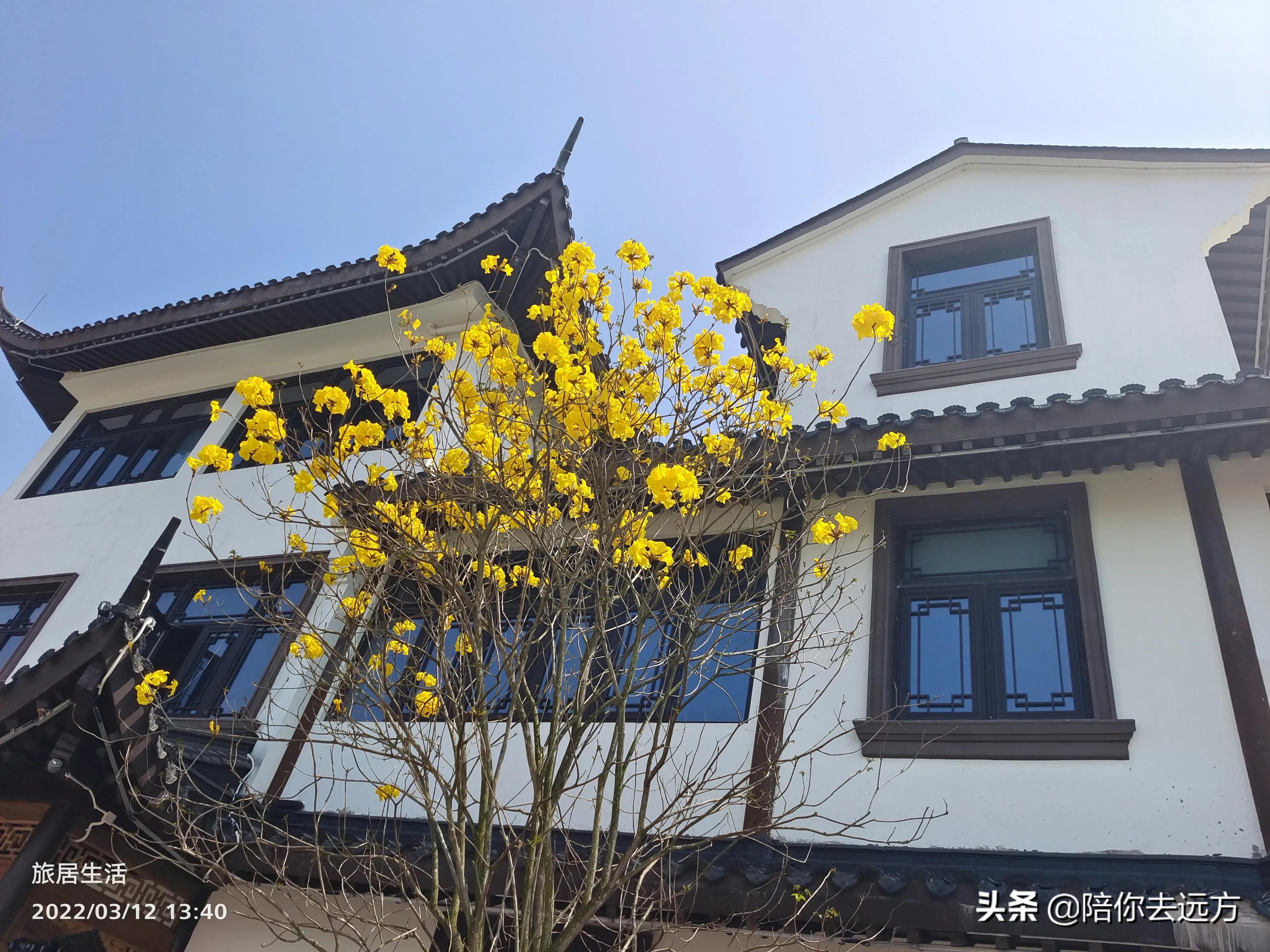 北海旅居具体地址,旅居北海住在哪里好