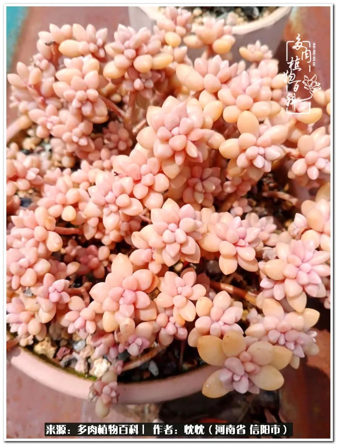 携一人白首择一城终老心之向往,携一人之手择一城终老图片