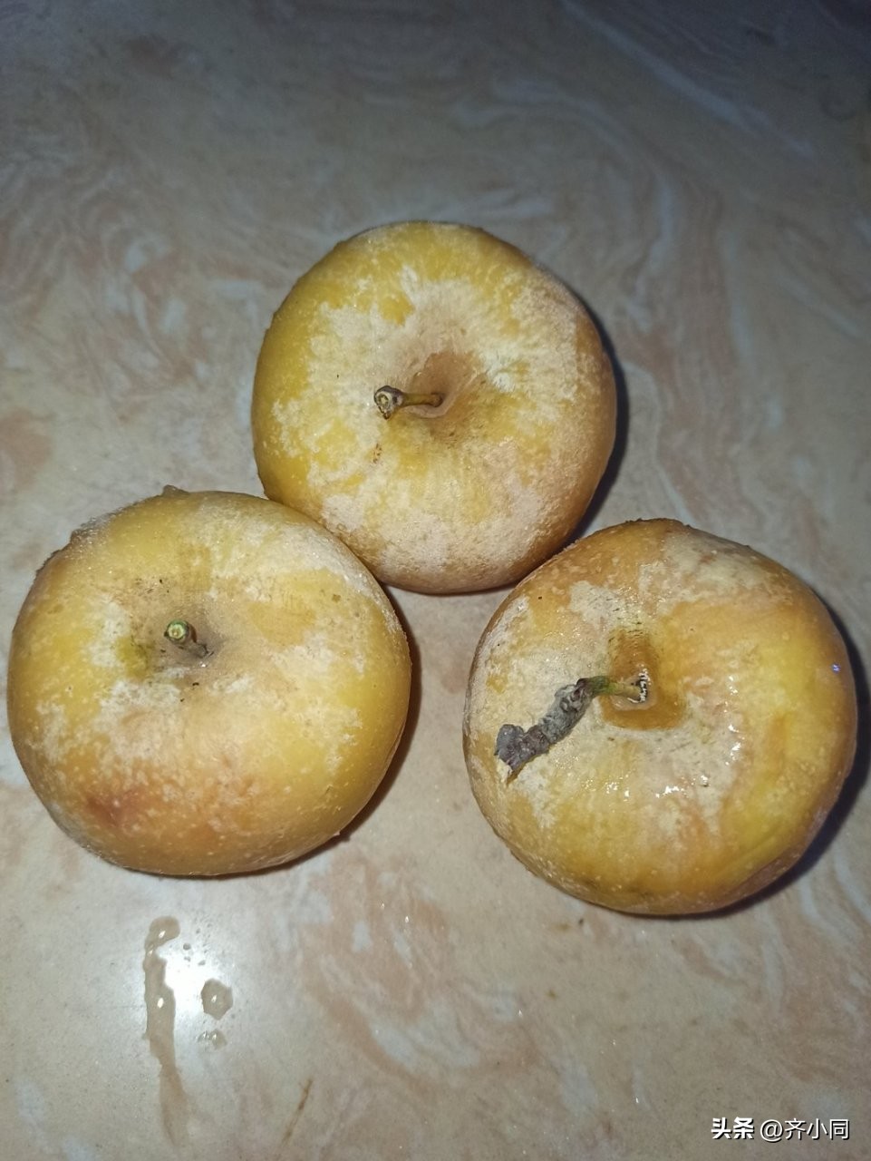 从家庭变化看中国历史,从衣食住行看家乡巨变