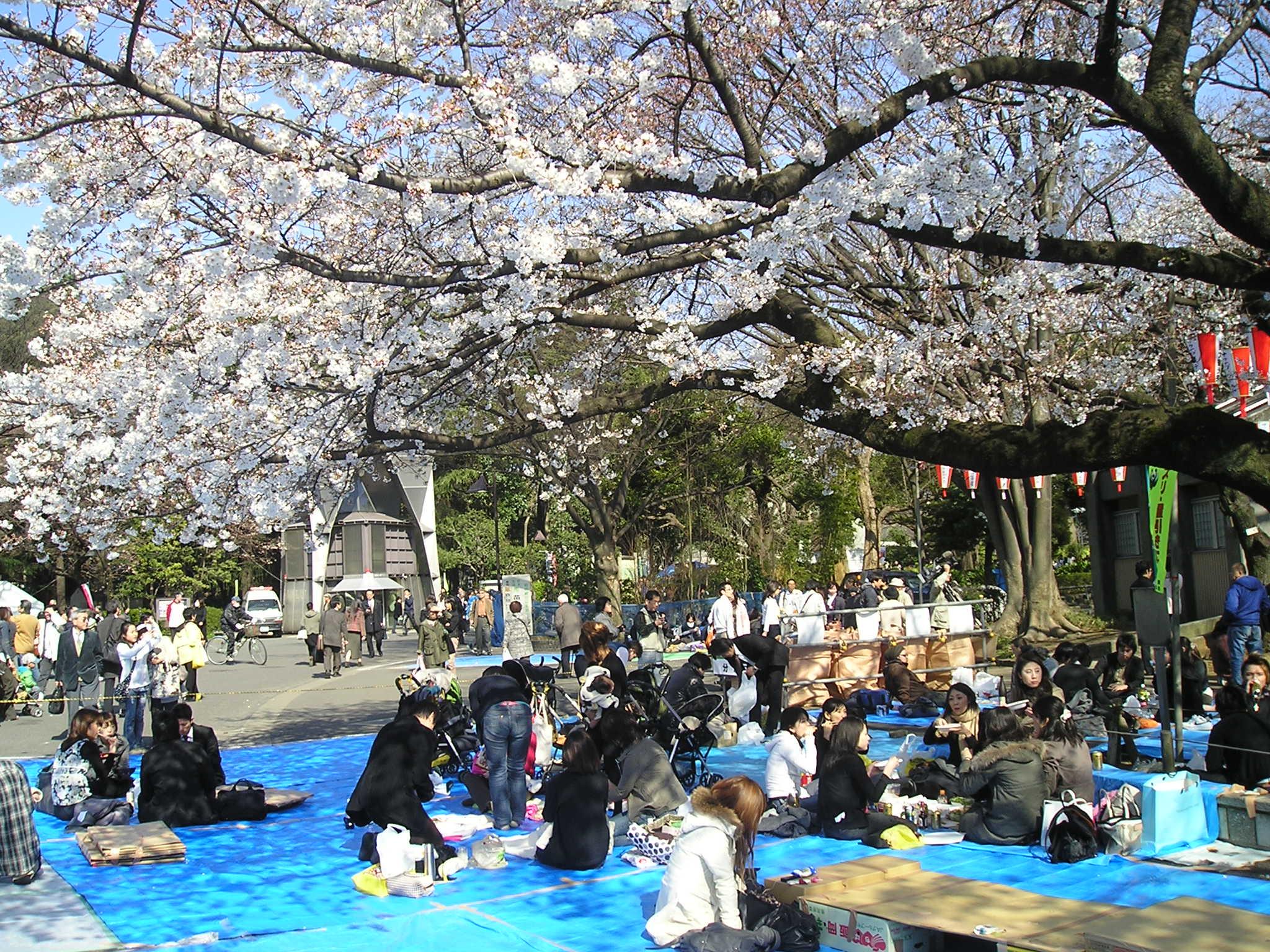 风月照古今,皓月照山川