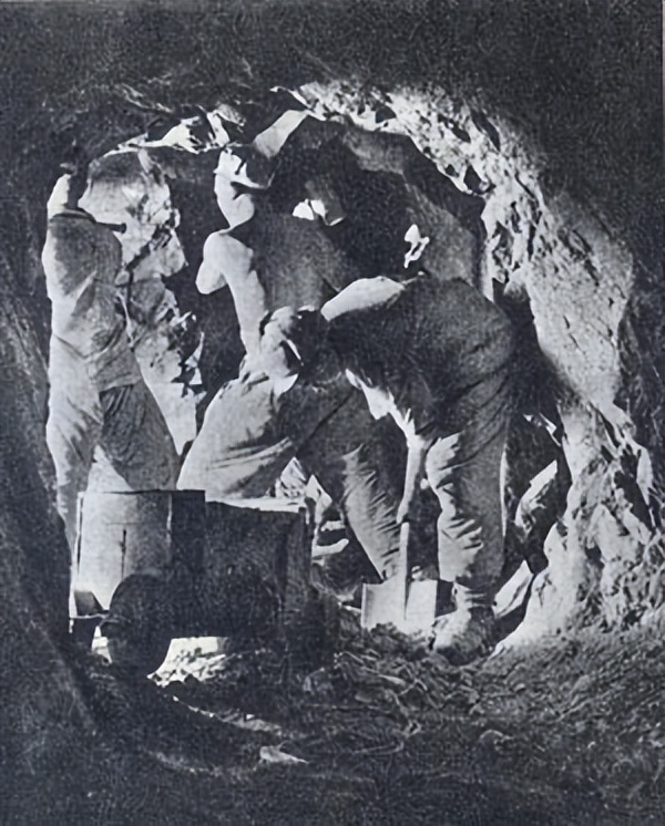 德国军事专家评价中国志愿军,德国军事专家分析志愿军实力