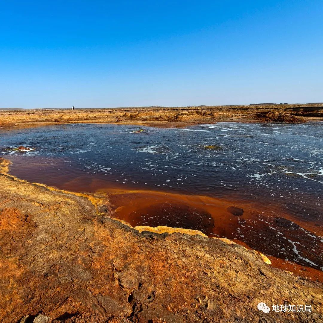 这场非洲大战，真是打成了一锅粥|地球知识局