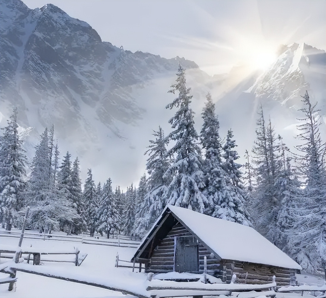 全自动豆腐机做豆腐的全过程,新型豆腐机做豆腐的全部流程