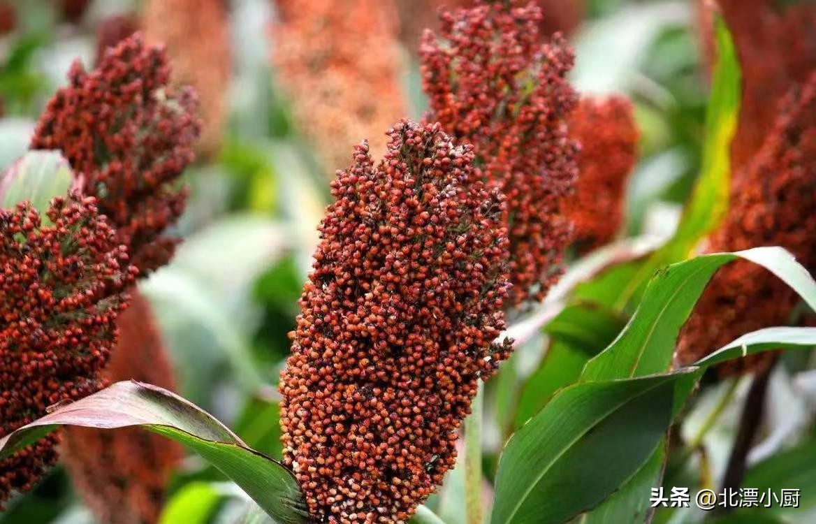 喝酒的时候要注意自己的酒量,喝酒出汗的人是不是酒量大