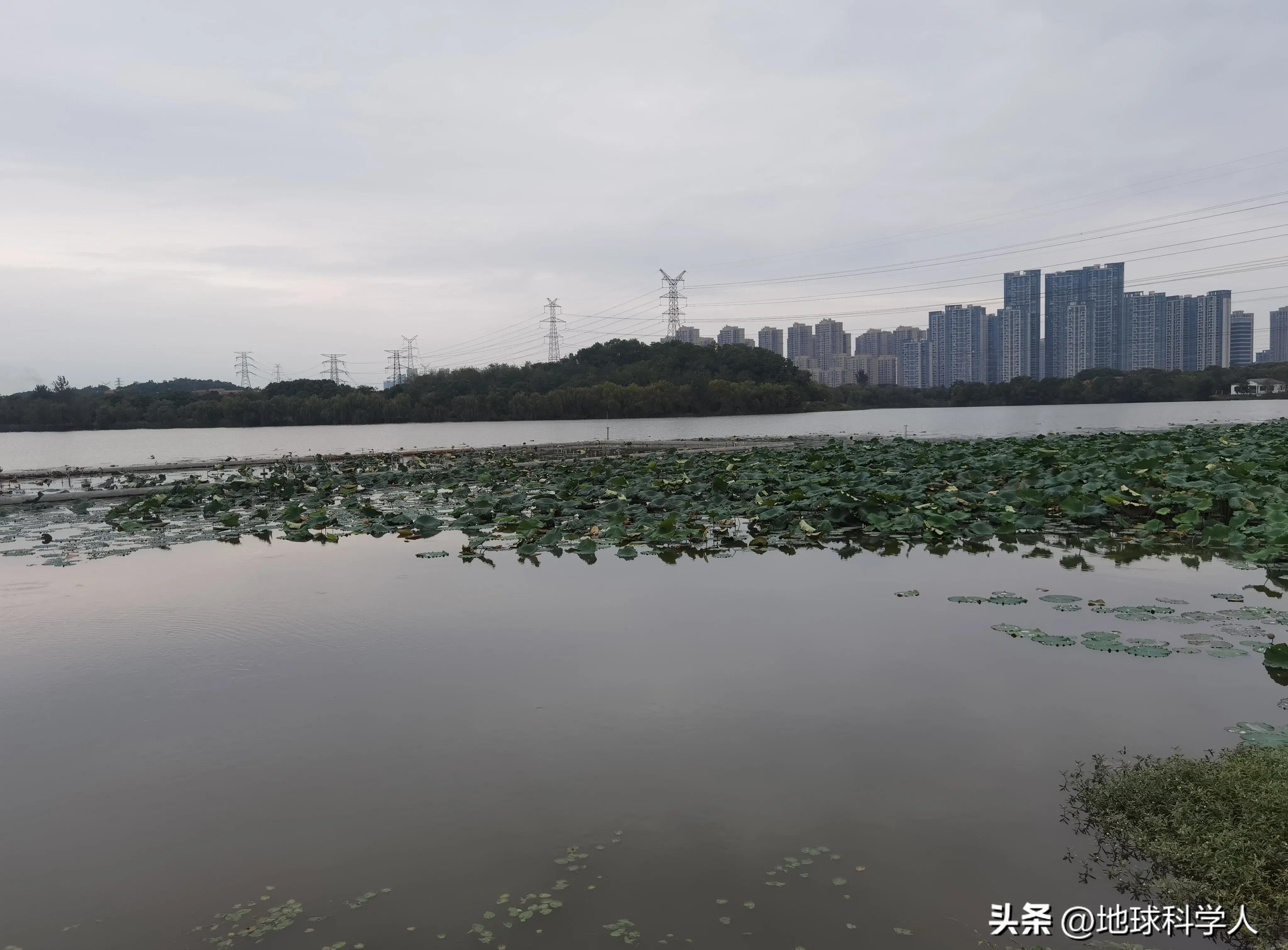 湖光山色美景欣赏,后官湖国家湿地公园游记