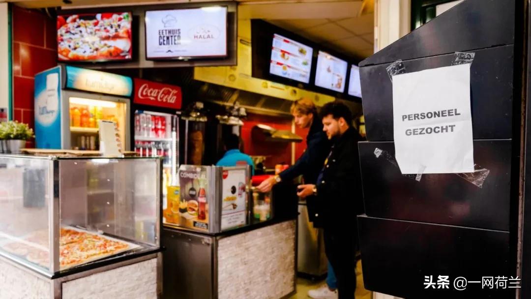 荷兰各个专业就业,荷兰有哪些高薪工作机会