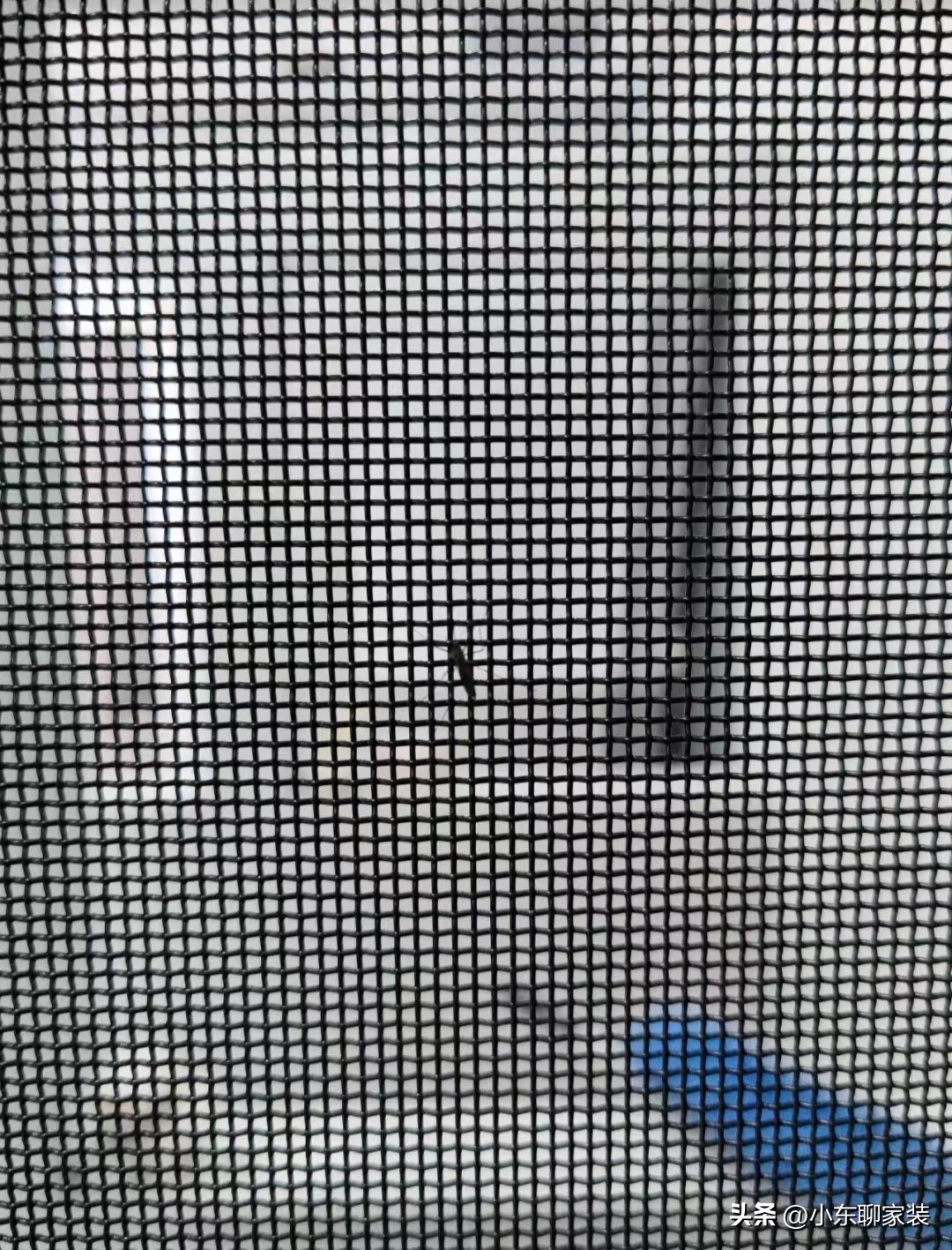 为什么红极一时的金刚网纱窗“跌下神坛”?不解决这些,终被淘汰