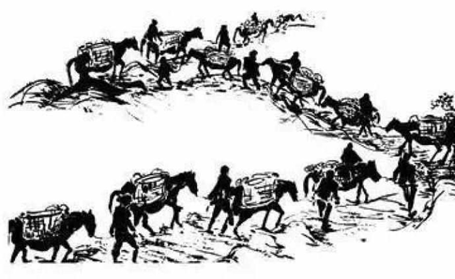 明朝时期茶马贸易为什么这么多,茶马古道是以茶换马吗