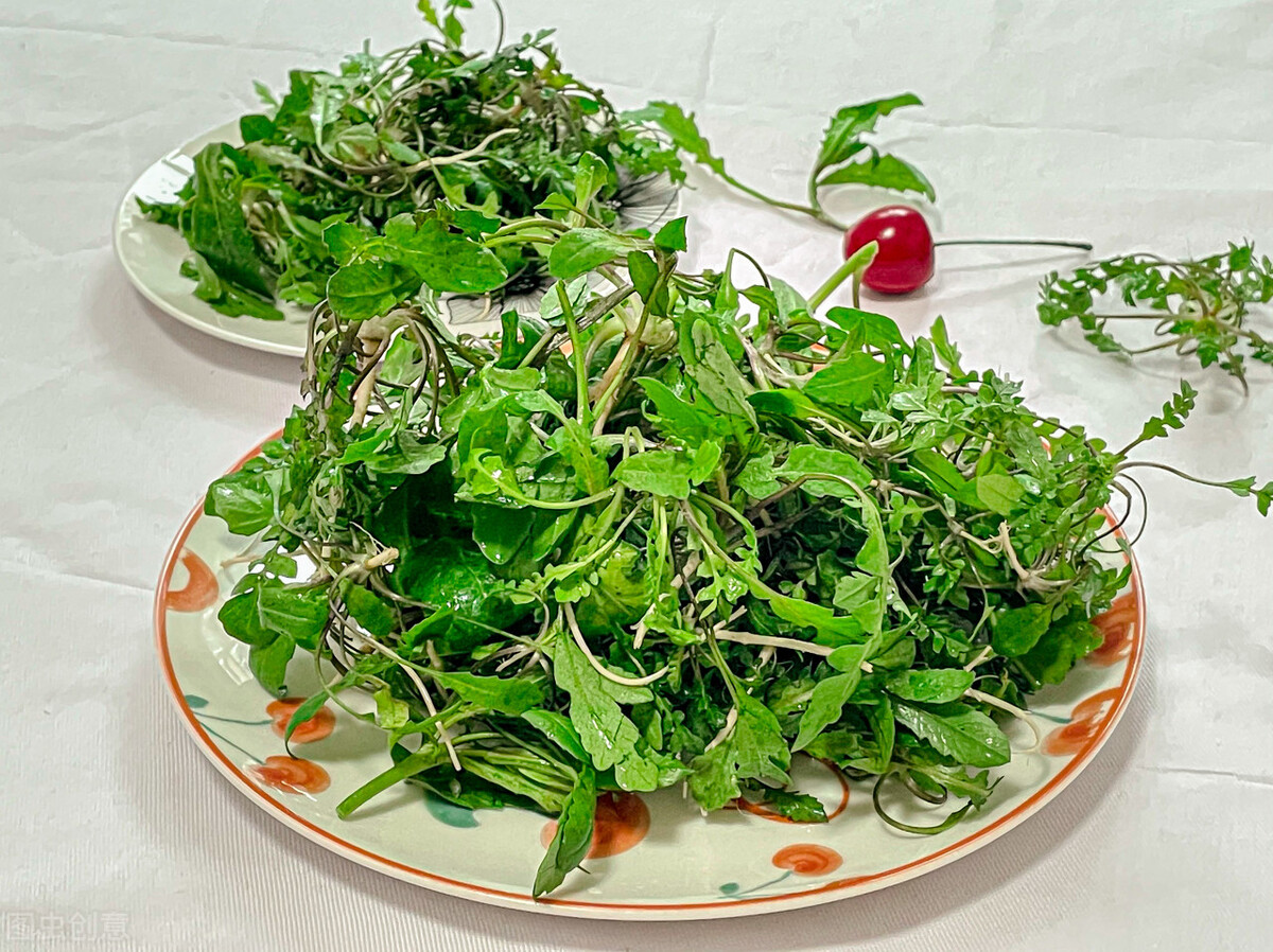 荠菜的味道怎么形容,荠菜的味道
