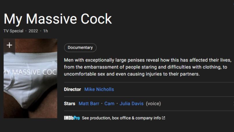 我的大丁,我的大丁英国纪录片