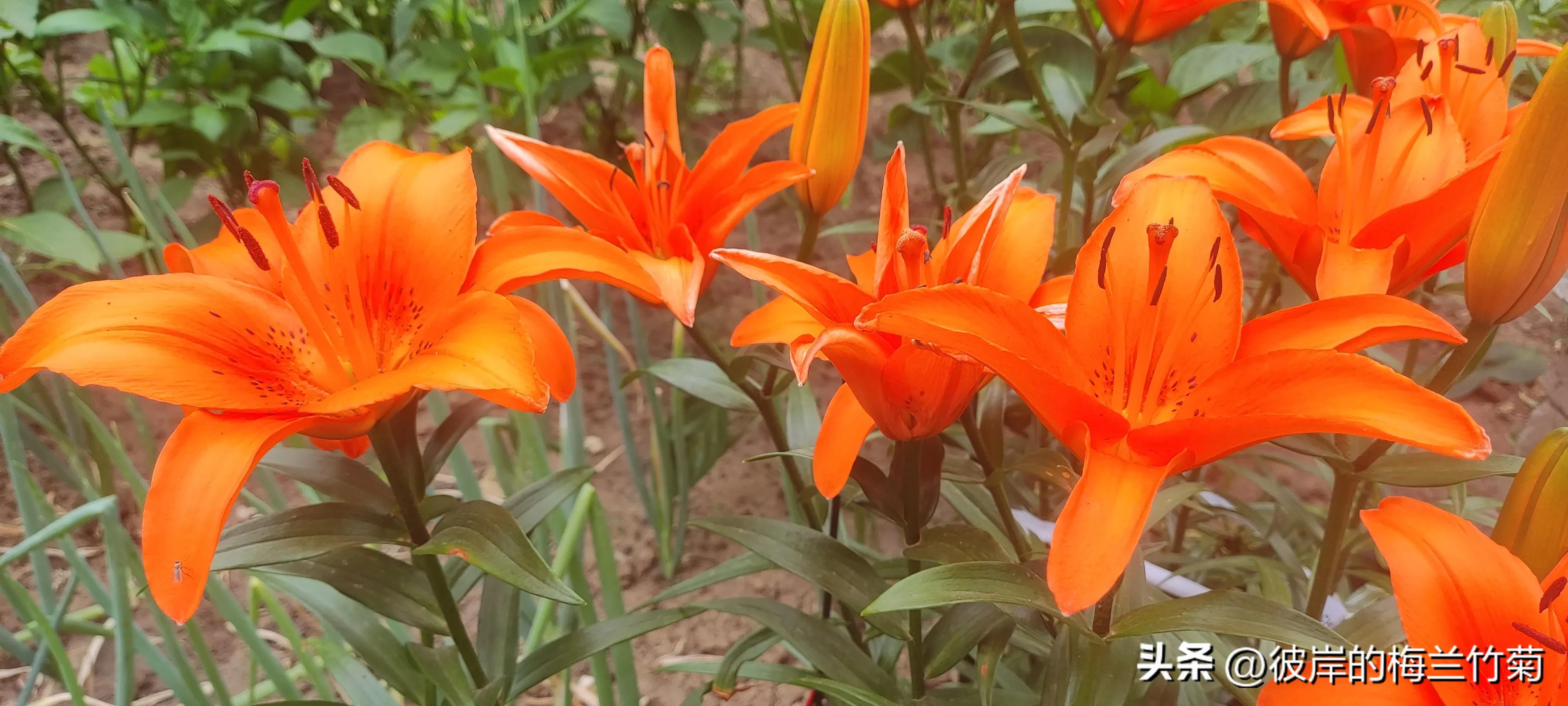 fbi教你10秒钟读懂面部微表情,fbi教你十秒读懂面部微表情书