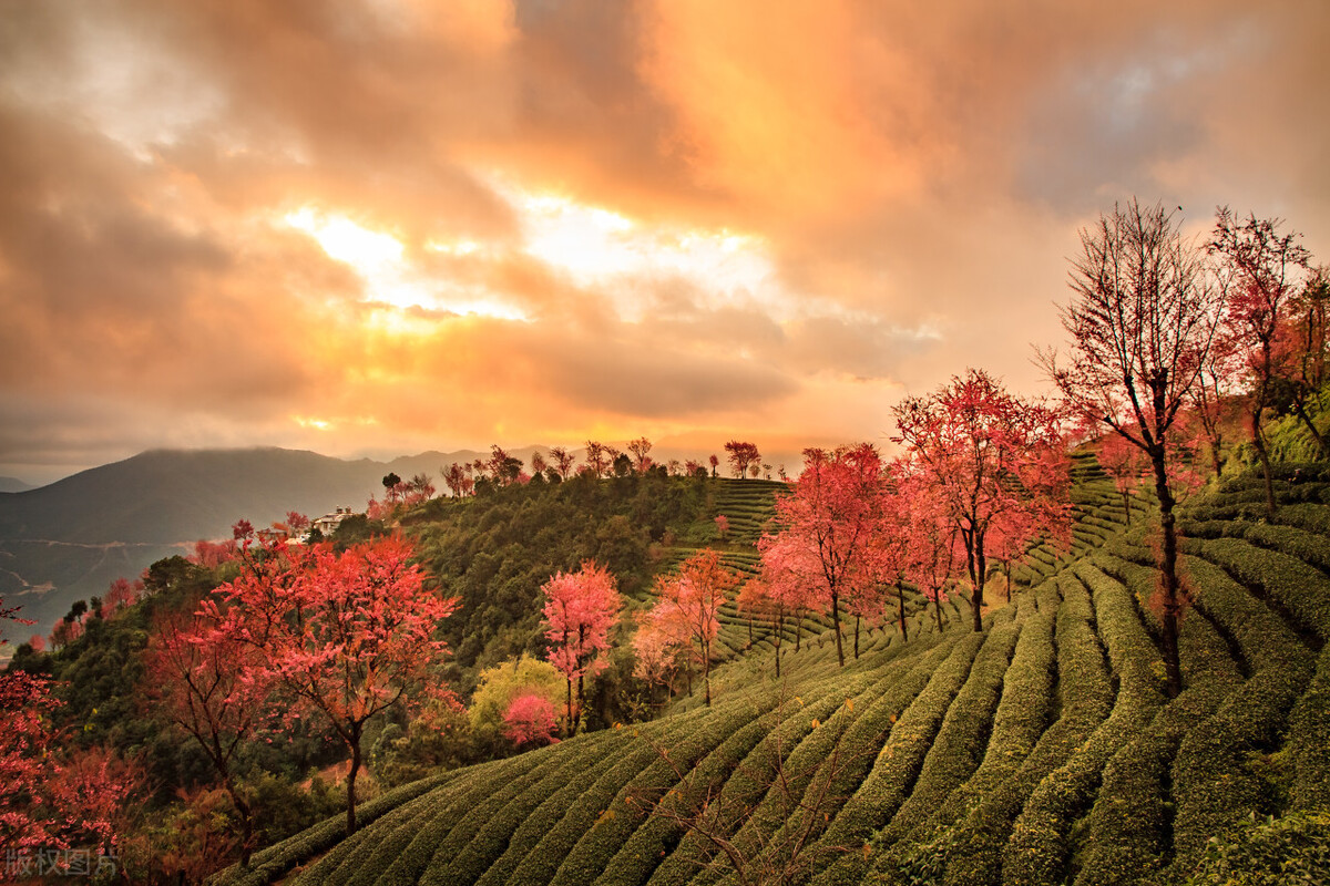 春节去云南哪里游玩有特色,春节除了云南还有哪里好耍