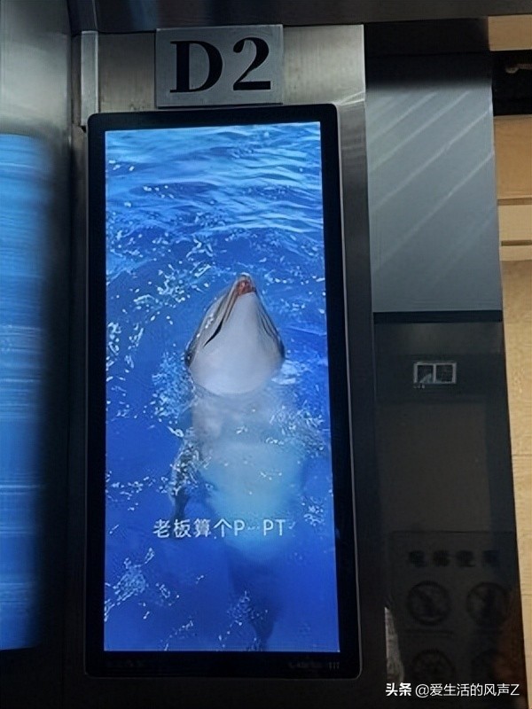 海豚皮仿生面膜广告吐槽,海豚皮仿生面膜广告被投诉