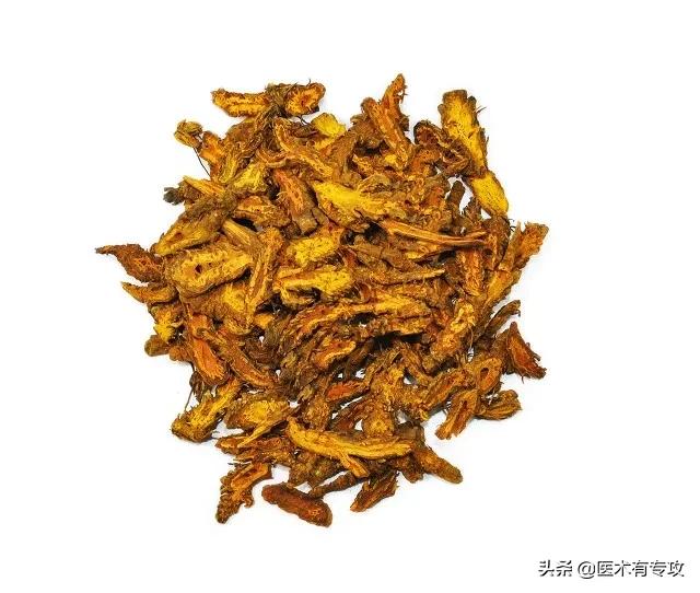 每天一味中药视频,每天一片黄连