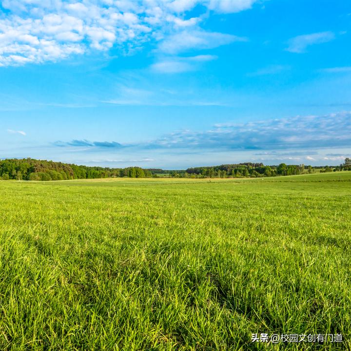 校徽创意设计40年,学校校徽logo设计图片五周年