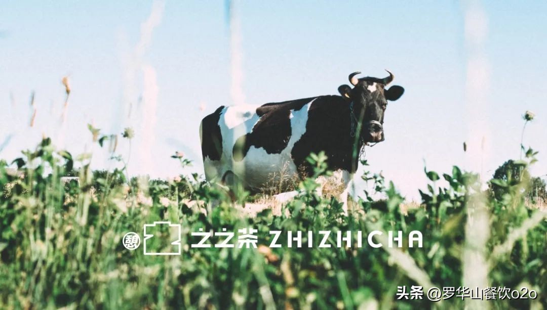 松绑？老乡鸡上市“赴考”募资12亿；泰山啤酒拟香港IPO...|周报