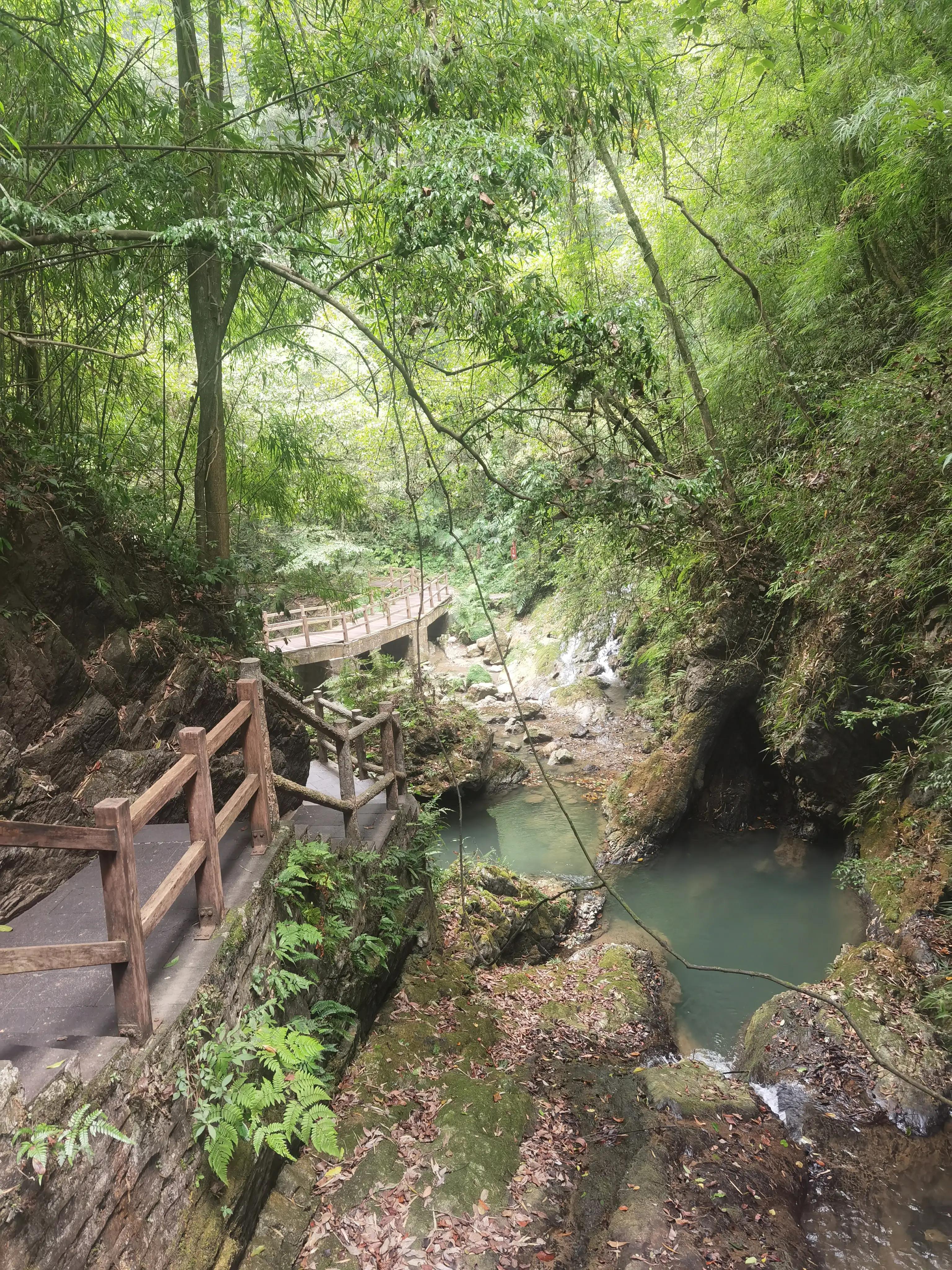 重庆到黑山谷的交通路线,重庆黑山谷旅游攻略美景图片