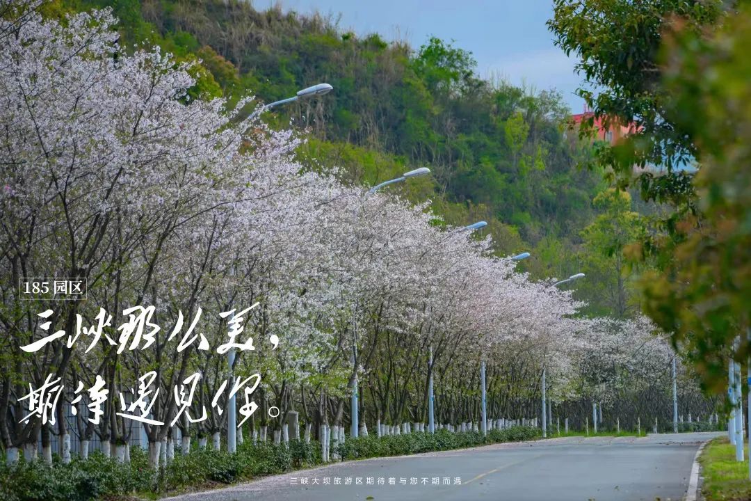 到什么地方去看三峡大坝,哪里看三峡大坝又近又好