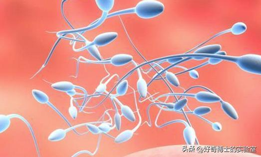 为了延长时间,同房时忍着不射有用吗?对身体会造成哪些影响?