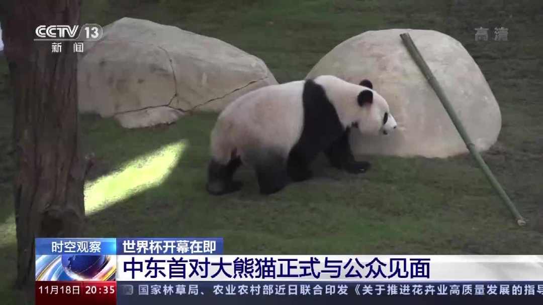 中国元素闪耀卡塔尔,中国制造在卡塔尔世界杯大放光彩