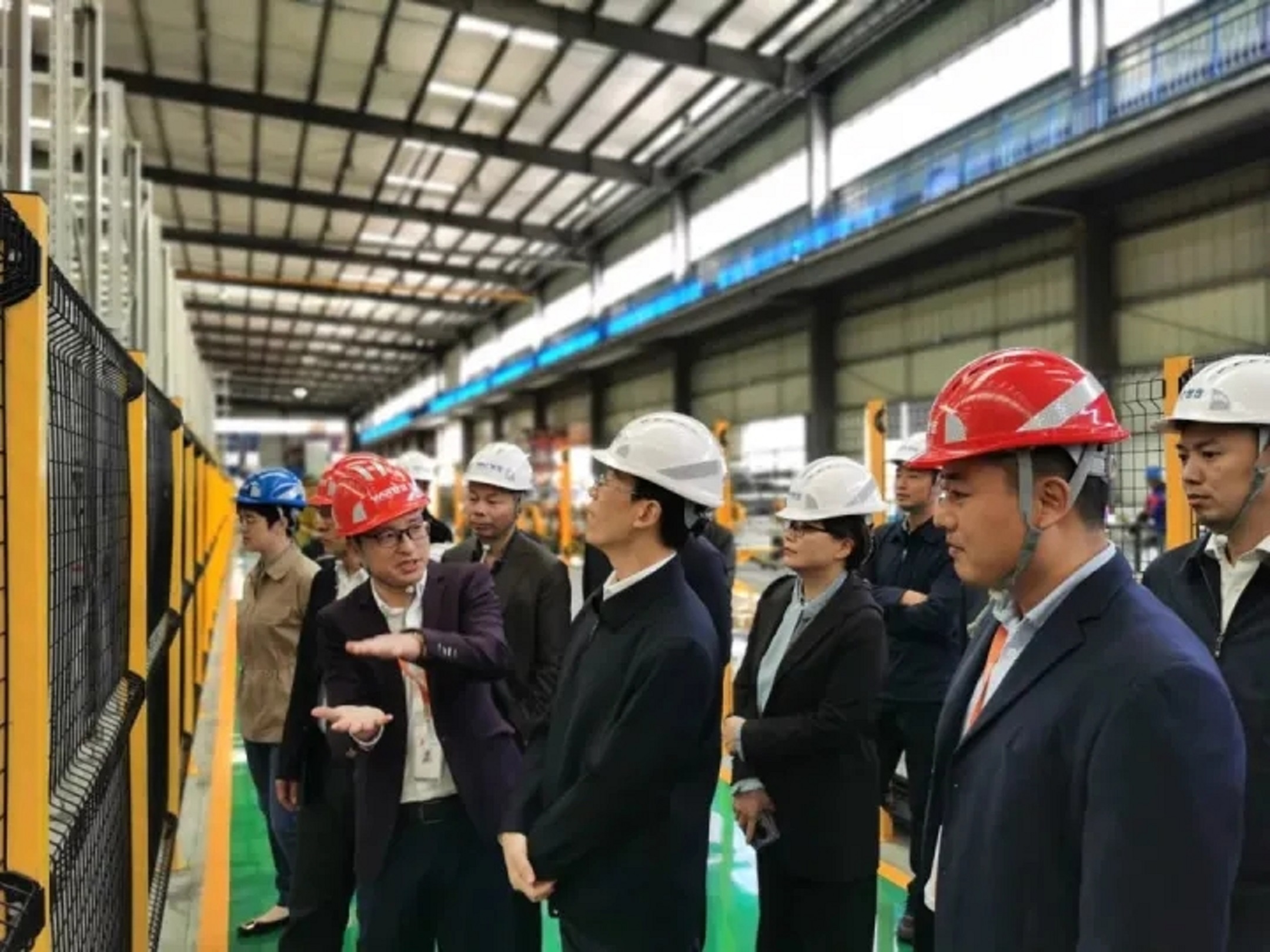 浙江大黑马,浙江黑马