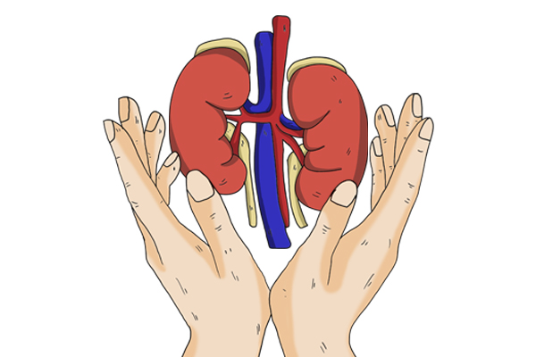 按摩仪会不会减肥,震动按摩仪可以减肥吗