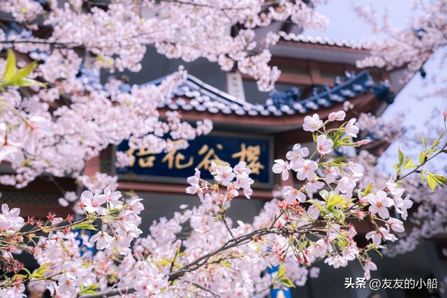 江苏镇江有六个景区,江苏镇江十大旅游景点大全